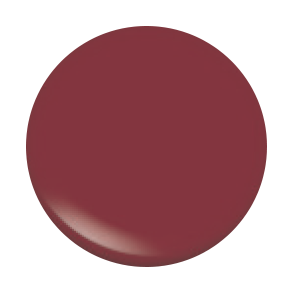 Lip Gloss - Black cherry